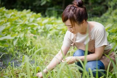 土用の日に土いじりをしてしまったら？草むしりをしてはいけない理由をご紹介します ユウミ キモノブログ