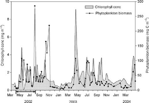 Temporal Evolution Of Chl A Concentration And Phytoplankton Biomass At