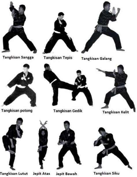 Learn Pencak Silat Techniques APK Download for Android - Latest Version