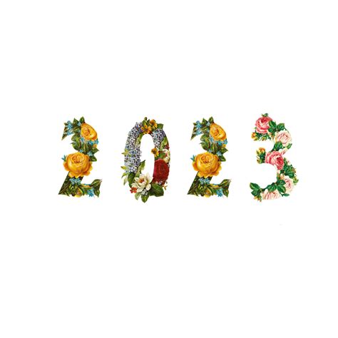 Año Nuevo 2023 Flores PNG , 2023, Año Nuevo, Flores PNG y Vector para ...