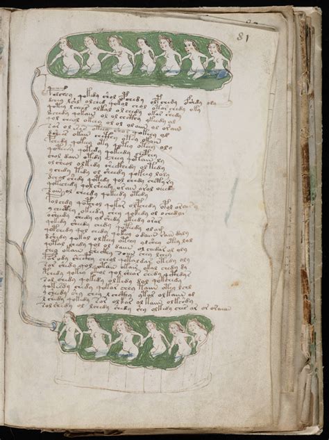 The Voynich Gallery The Complete Manuscript