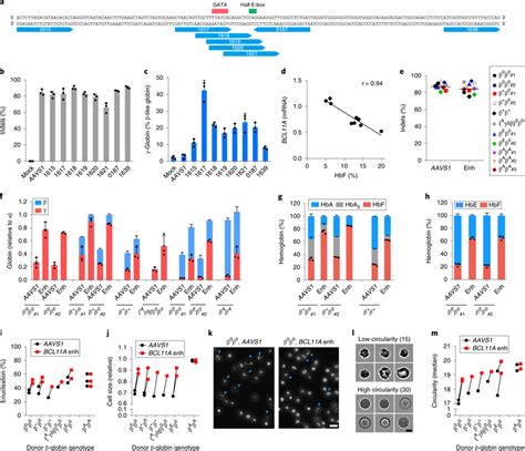 Identification Of Efficient BCL11A Enhancer Guide RNAs For HbF