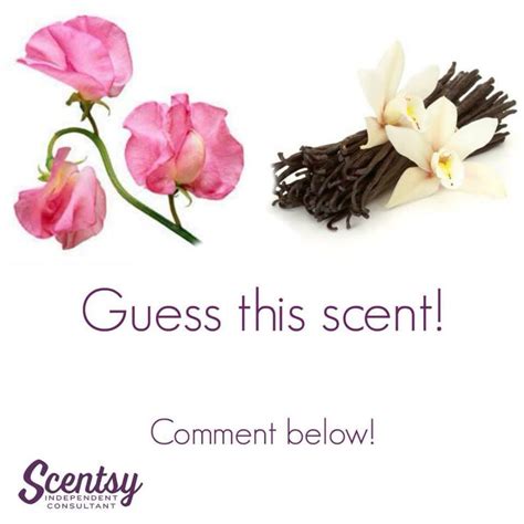 Pin By Scentsational Scents With Vale On Guess The Scent Scentsy