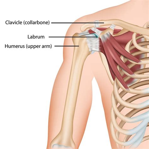 Labrum Tear - Stowell Orthopedics of Coeur d'Alene