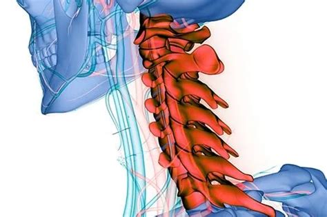 Subluxation Demystified: Understanding Its Causes, Symptoms, and Treatments - Urban Splatter