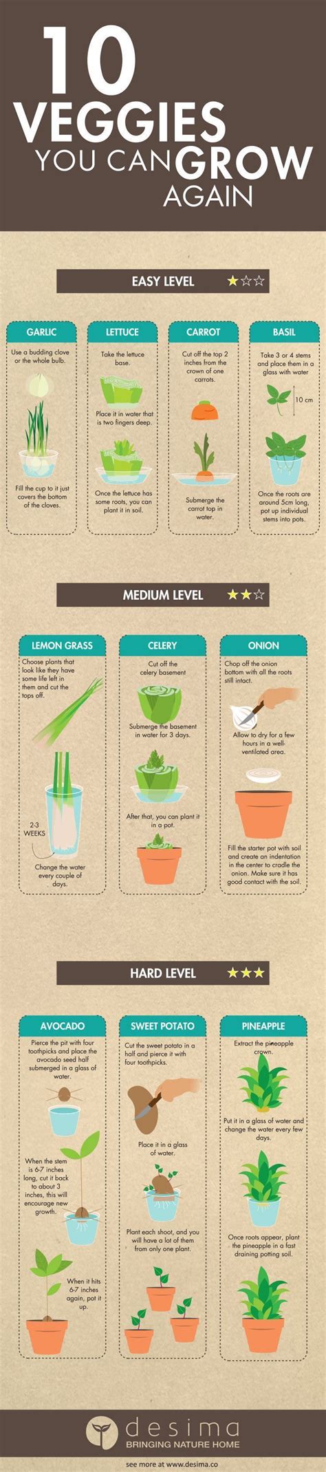 Health Infographic Infographic On Veggies You Can Grow Again Infographic Description Infographic