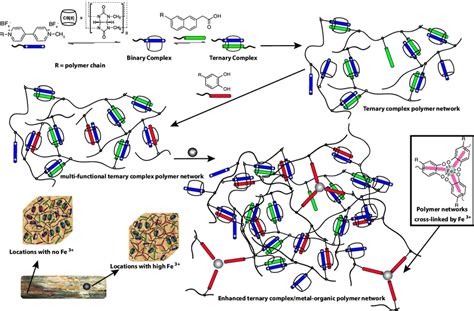 Supramolecular Consolidants Schematic Representation Of The Formation