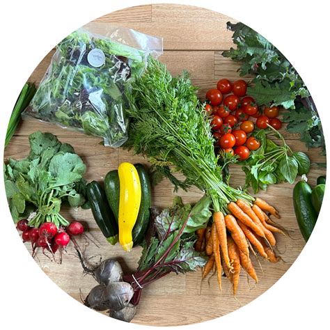 The Food Grower Academy | Learn how to grow food at any level from ...