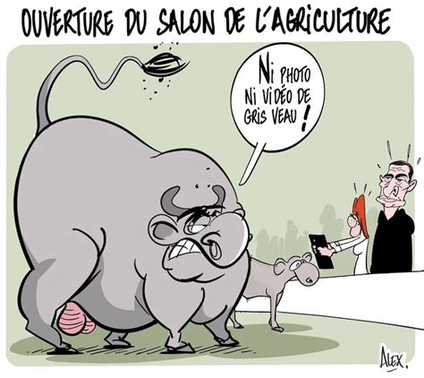 Alex Dessinateur On X