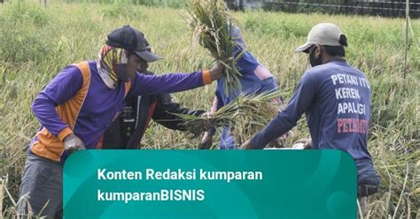 Mentan Siapkan Bantuan Benih Pupuk Hingga Alsintan Untuk Genjot