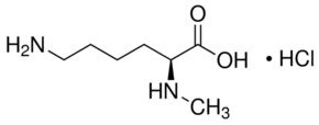 L Lysine Methyl Ester 26348 70 9