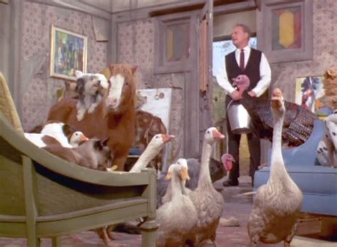 Green Acres Its Human To Be Humane Cinema Cats