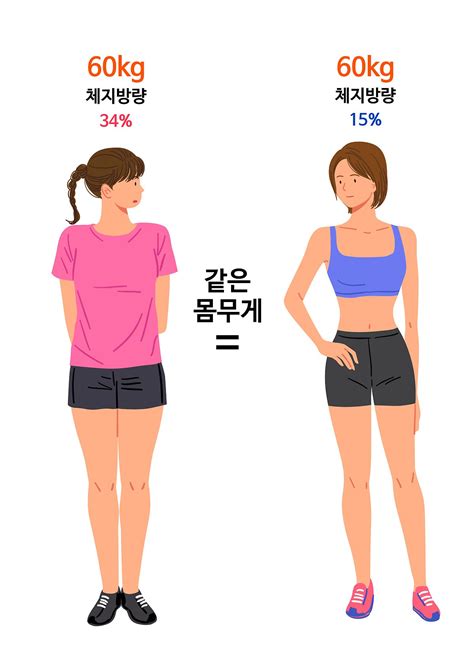 성인병의 원인 체지방 줄이는 식단 7가지 네이버 포스트