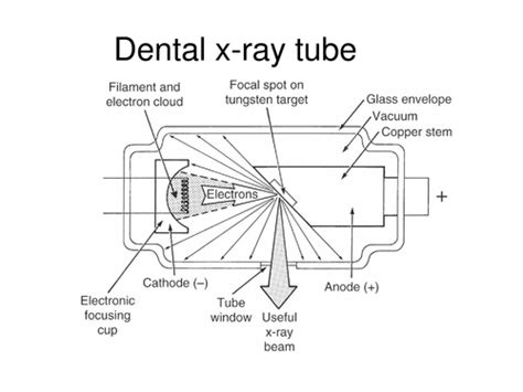 Radiology Chapter 2 The Dental X Ray Machine Components And