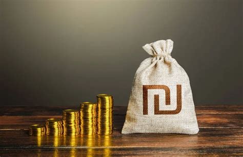 Israeli Shekel Money Bag And Increasing Stacks Of Coins Rise In