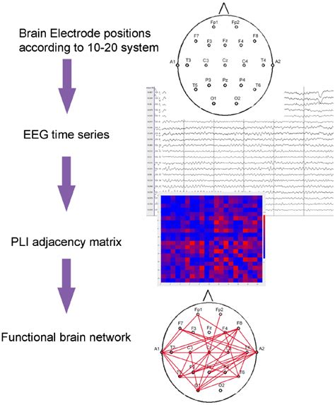 Schematic Representation Of Construction Of Graphs From Eeg Time