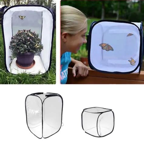 Insectes Et Papillons Pliables Habitat Cage D Alimentation Terrarium