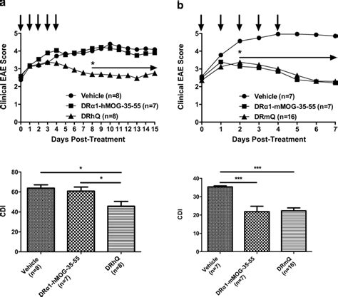 C57bl6 Wt Male Mice Between 8 And 12wks Of Age Were Purchased From The