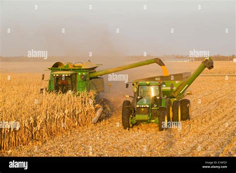 A Combine Empties Into A Grain Wagon On The Go During The Feed Corn