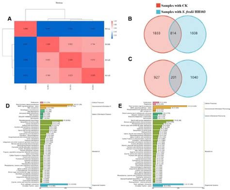 Agronomy Free Full Text Qtl Mapping And Functional Identification