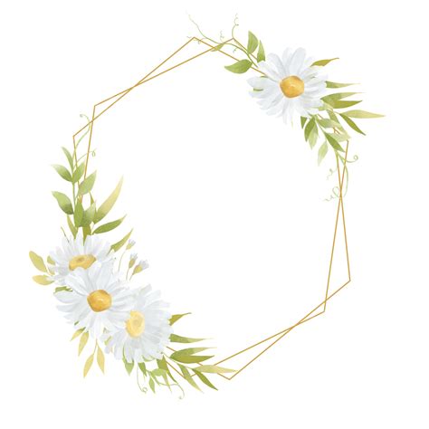 Daisy Flower Watercolor White Transparent Flower Frame With Watercolor