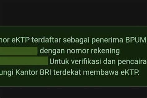 Nama Dan Nomor Rekening Terdaftar Di Eform Bri Co Id Bpum Begini Cara