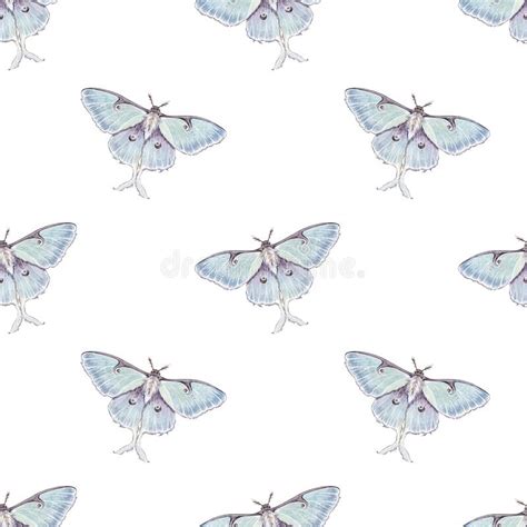 Watercolor Seamless Pattern With Illustration Luna Moth Moon Butterfly Actias Luna Isolated On