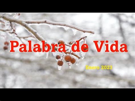 Palabra De Vida Enero Focob Youtube