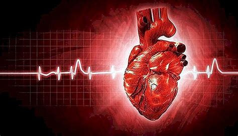 Fibrilaci N Atrial S Ntomas Causas Y Tratamiento Imevictoria