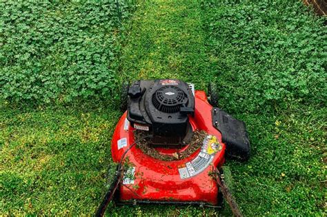 How To Adjust Speed On A Self Propelled Lawn Mower The Clever Homeowner