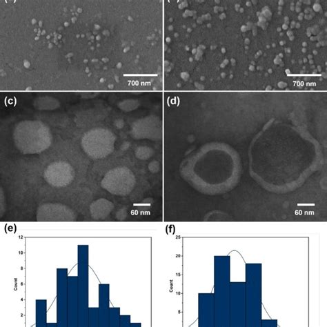 Fesem Images Of A Suni Nio And B Suni Nio Col Tem Images Of C