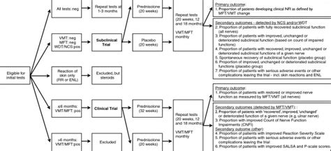 Overview Of Intake Assessments And Outcomes In The Clinical And Download Scientific Diagram