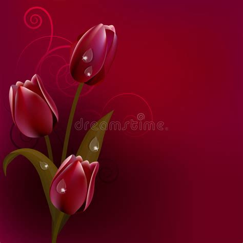 Boeket Van Rode En Gele Tulpen Vector Illustratie Illustration Of