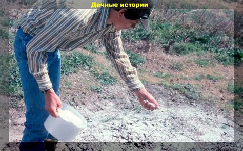 Гипсование. Простой и дешевый способ восстановления плодородия почвы ...
