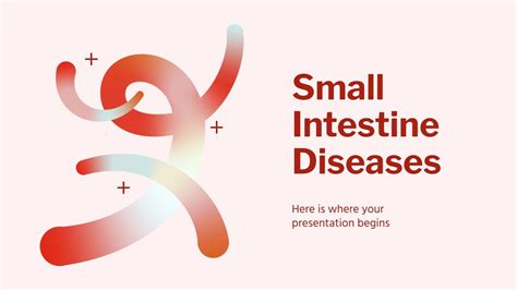 Small Intestine Diseases Presentation