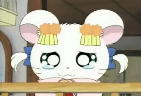 The Tale Of Princess Bijou The Hamtaro Wiki Fandom