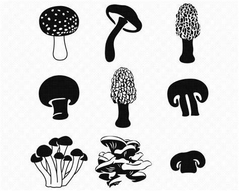 Mushroom Drawing Mushroom Art Valentine Doodle Bujo Doodles