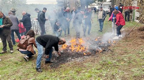 Festa Da Castanha Em Aldeia Das Dez E Vale De Maceira Marca A Tradi O