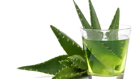 Aloe vera proprietà utilizzi benefici e controindicazioni