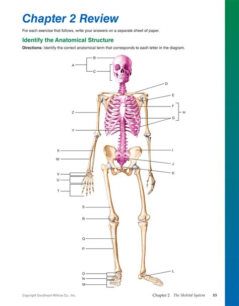 Med Term Bones 2 Diagram Quizlet