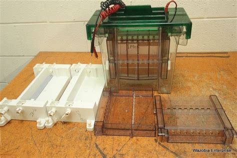 BIO-RAD PROTEAN II VERTICAL GEL ELECTROPHORESIS APPARATUS | eBay