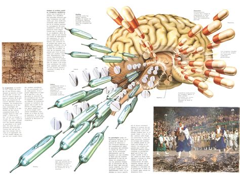 Los receptores químicos del cerebro y el dolor