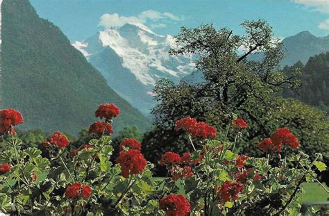 Interlaken Jungfrau Be Kaufen Auf Ricardo