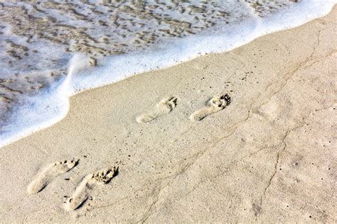 Footprints in the Sand of a Tropical Beach Stock Photo - Image of activity, colored: 216427578