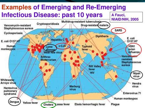 Emerging Disease Newly Identified And Previously Unknown Infectious