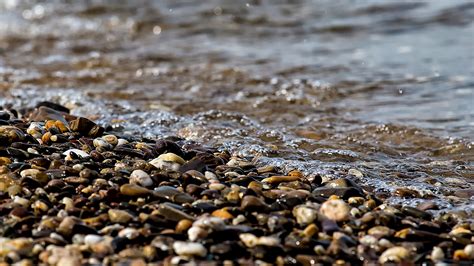 Free Images Water Nature Sand Rock Ocean Leaf Shore Wave Wet