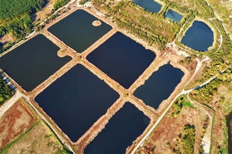 Building A Farm Pond In India A Comprehensive Guide To Uses