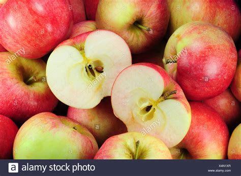 Pome Fruit Stock Photos And Pome Fruit Stock Images Alamy