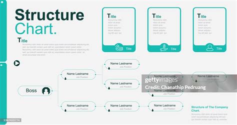 Structure Of The Company Business Hierarchy Organogram Chart Infographics Corporate