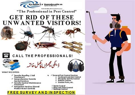 Best Fumigation Services For Companies,Offices & Houses | Free Ads Classified